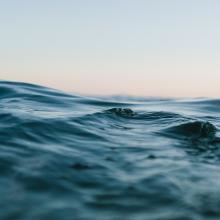 Waves
